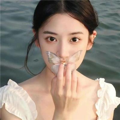 雾的子午线